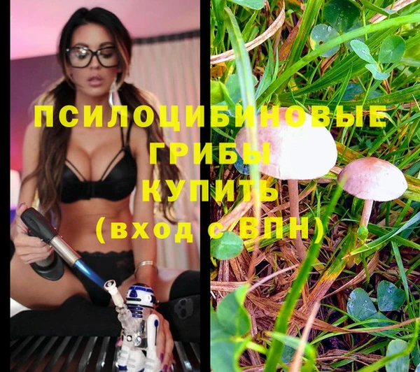 синтетический гашиш Богданович